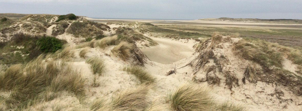 Nog Efficiënter Werken, workshop, meer vrijheid, evenwicht tussen werk en partner/gezin.