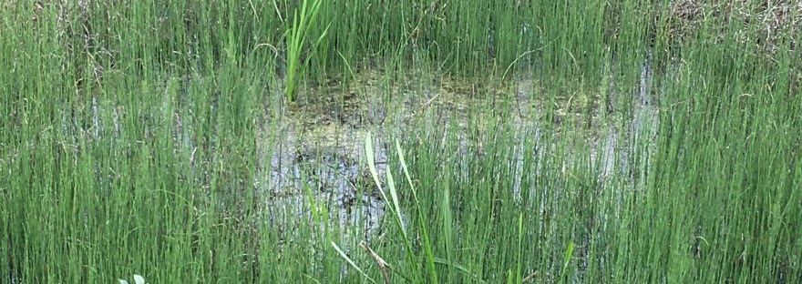 Rust, balans, afspraken over werk en privétijd, ontspannen met je partner