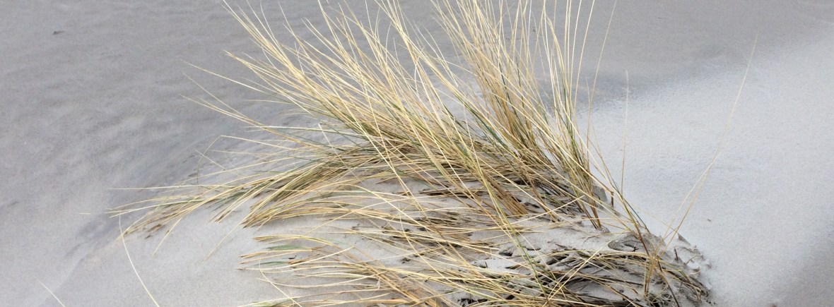 VIP-BALANS-DAG, weten wat belangrijk is voor jou, voldaan, rust en overzicht