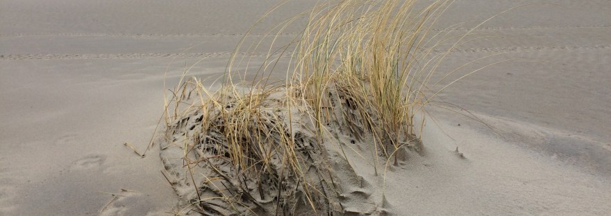 Anders zijn, durven zeggen wat je denkt, vrijheid, tegen de stroom ingaan
