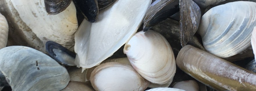 Keuzes durven maken, verbinding met jezelf, gemakkelijker kiezen