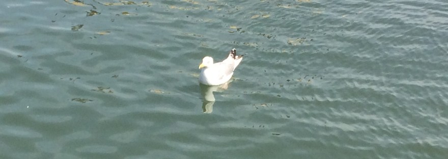 Aanval, Innerlijke Criticus, tegenstellingen in jezelf