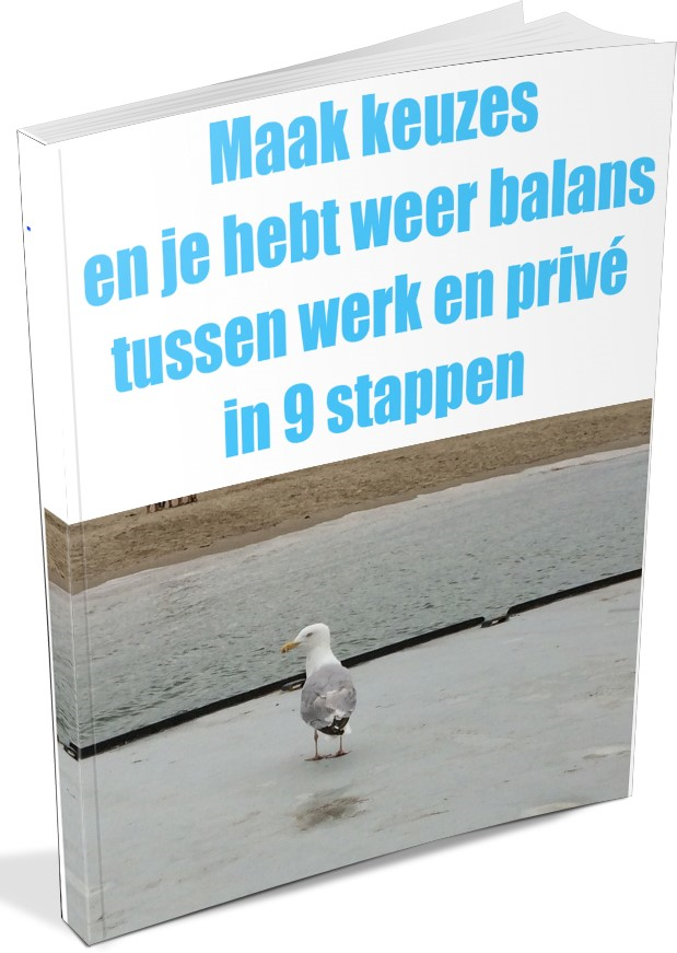 balans tussen werk en privé, rust en overzicht, voldaan gevoel, weten wat je belangrijk vindt in je leven en je werk
