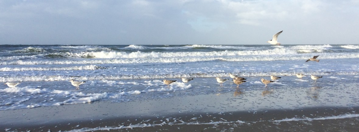 Coachgesprekken, coachproces, Life Coaching