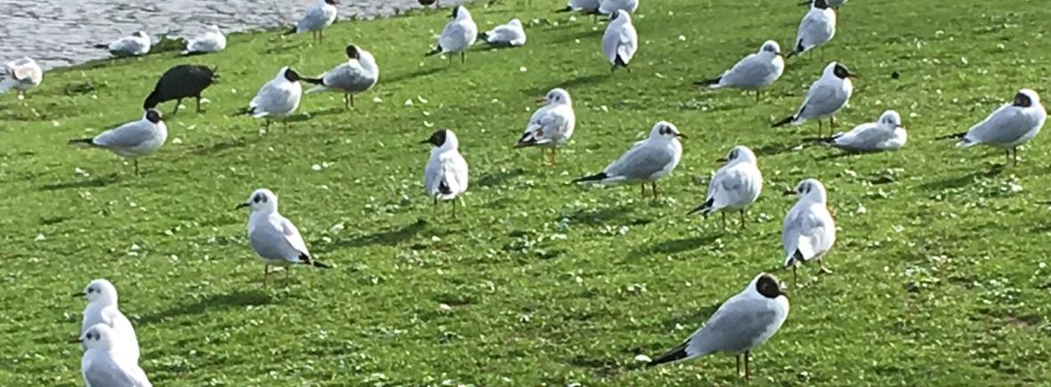 Ervaringen van anderen, zienswijze. Life Coach, Systemisch werken