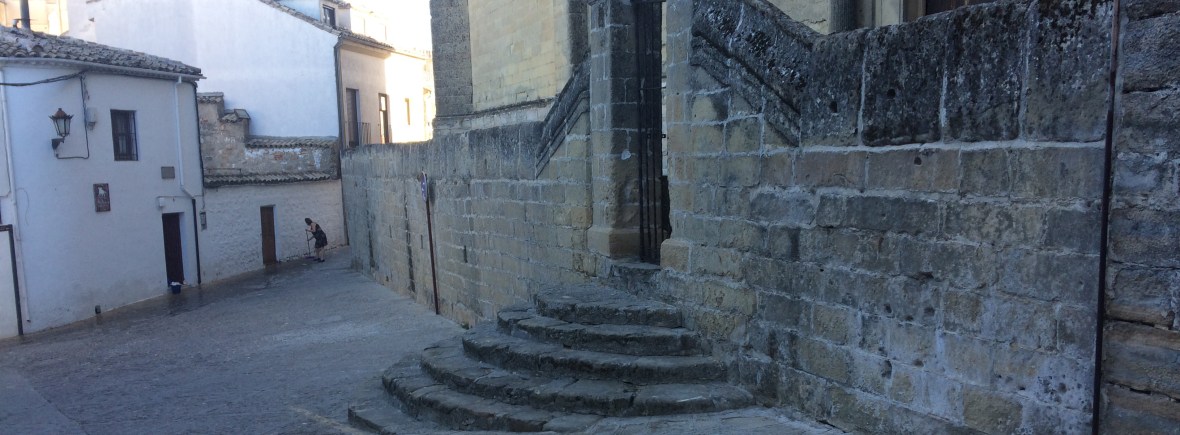 Coachaanbod, coachproces, Life Coaching, Systemisch Coachen, Voice Dialogue