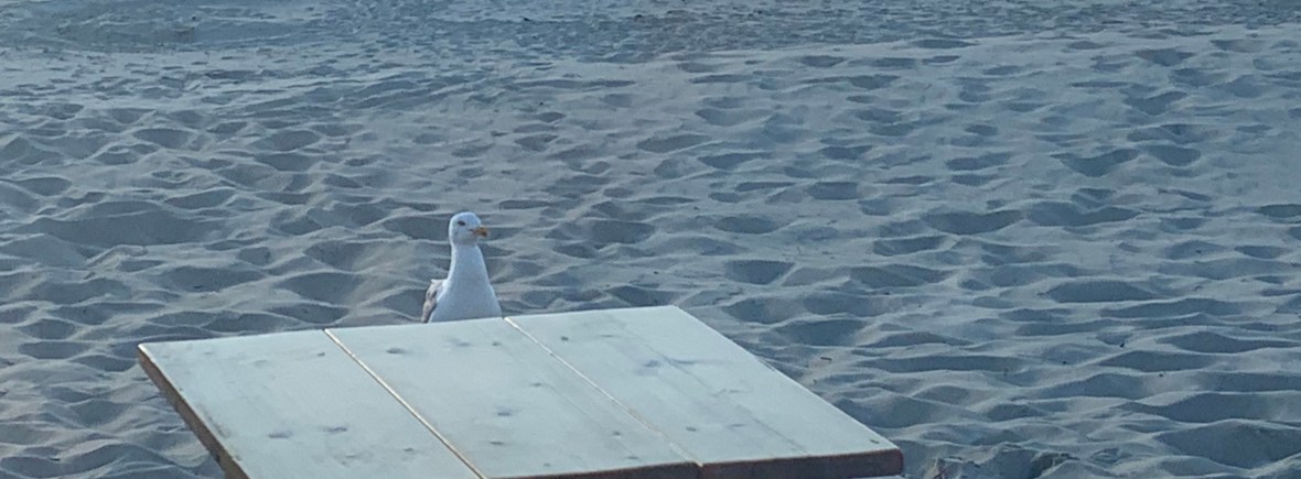 Kosteloos, waarde geven, balans tussen werk en privéleven, kosteloos e-book